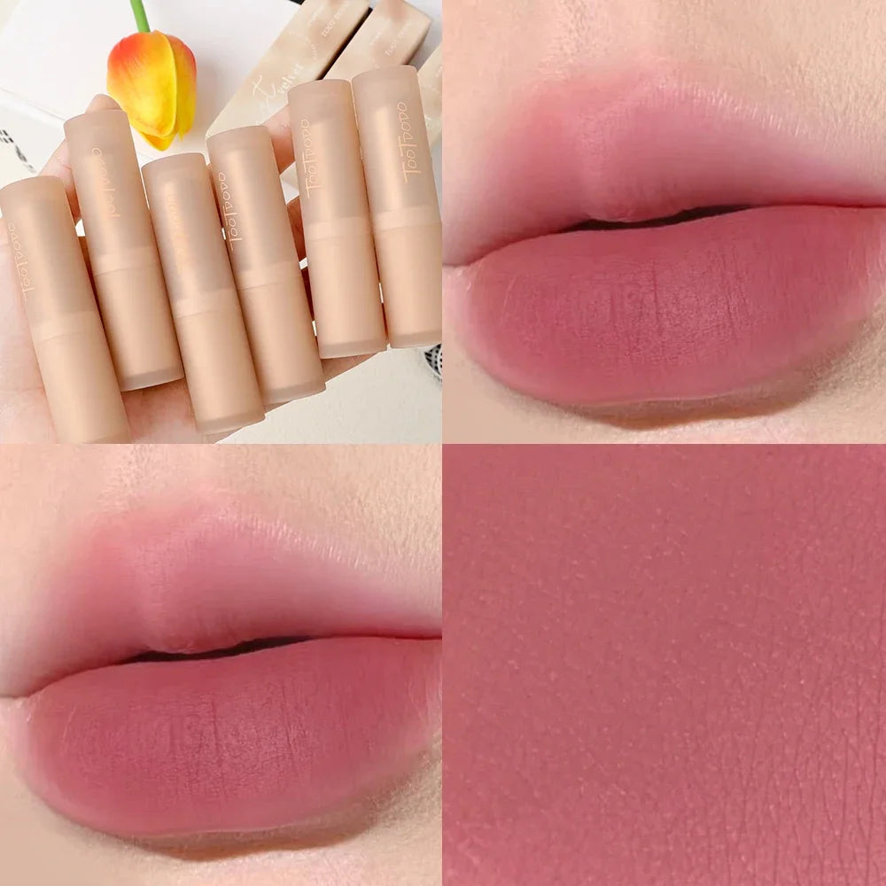 Matte Misty Lipstick 6 Colors Waterproof Non Sticky
